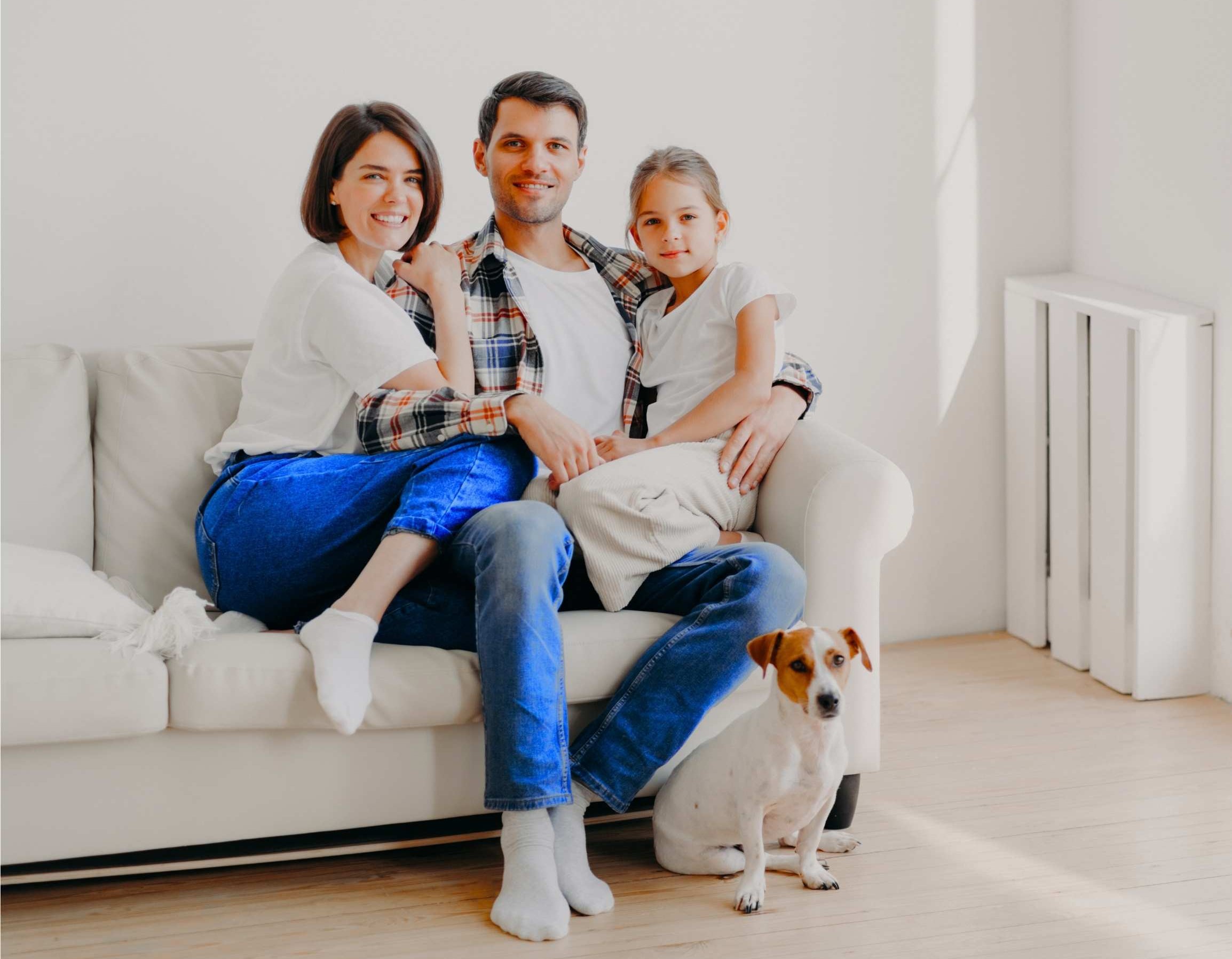 Pest Control Image 1